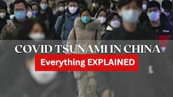 4 Virulent COVID-19 Variants Are Driving New Wave In China: All You Need To Know