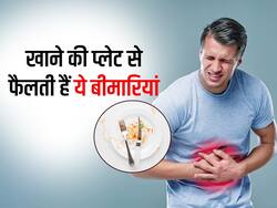 जिस थाली में खाना खाते हैं वह भी बन सकती है बीमारियों का कारण, गट हो सकता है डैमेज