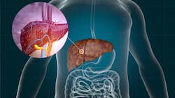 Fatty Liver Symptoms: 7 Unusual Signs You Have Liver Diseases