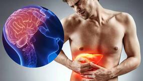 Fatty Liver Disease Can Damage Your Brain, Lead To Severe Inflammation In Tissues