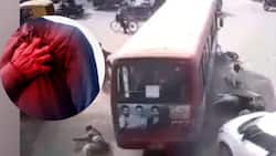 Driver Dies of Heart Attack, Bus Rams Into Vehicles Killing 2 In Madhya Pradesh: Video Leaves Netizens Shocked