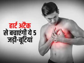 हार्ट अटैक को आने से रोकना है तो आज से ही खाना शुरू कर दें ये 5 जड़ी-बूटियां, जानिए इन्हें खाने का सही तरीका