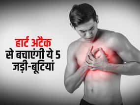 हार्ट अटैक को आने से रोकना है तो आज से ही खाना शुरू कर दें ये 5 जड़ी-बूटियां, जानिए इन्हें खाने का सही तरीका