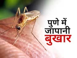 मीजल्स के बाद जापानी बुखार ने दी पुणे में दस्तक, 4 साल के बच्चे में मिले Japanese Encephalitis के ये लक्षण