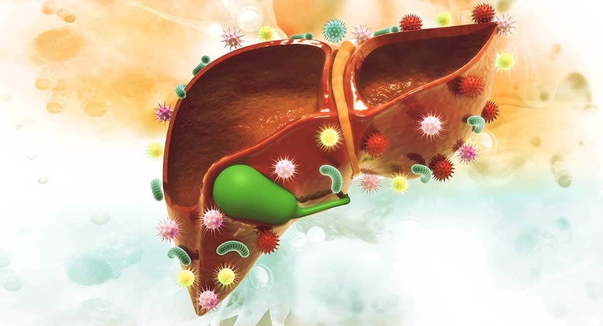 Polycystic Liver Disease: Can This Condition Develop Cysts In The Liver?