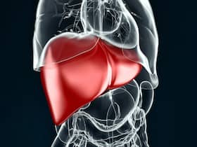 NAFLD: Can Obesity Increase The Risk Of Non-Alcoholic Fatty Liver Disease?