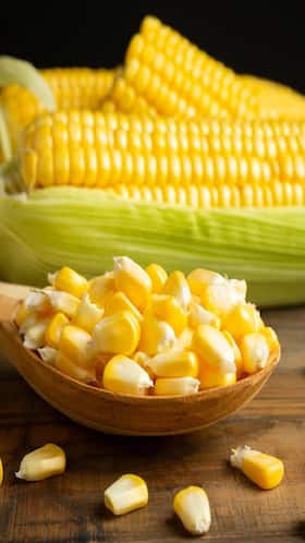 10 Reasons Why You Should Eat Sweet Corn