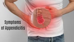 5 Early Symptoms of Appendicitis: Increased Gas To Constipation, Here's How Appendicitis Affects Your Body