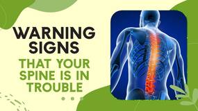 Neck And Back Pain: Know When To See A Spine Specialist