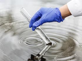 Arsenic In Water Can Cause Skin Cancer: Activated Vitamin D3 May Help Combat The Toxic Effects