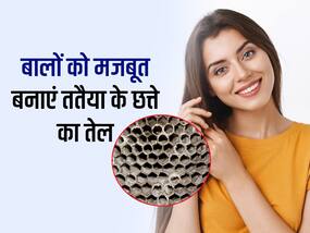 झड़ते बेजान बालों में जान डाले ततैया का तेल, जानें बनाने की विधि और फायदे
