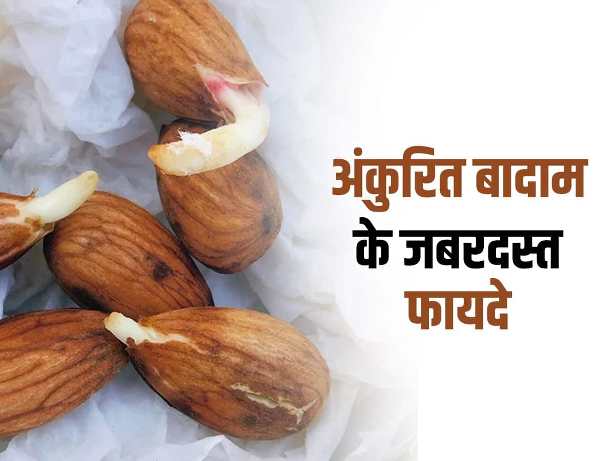 Sprouted Almonds सुबह खाली पेट अंकुरित बादाम खाने के फायदे