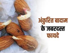 सुबह खाली पेट खाएं अंकुरित बादाम, सेहत को होंगे ये 5 जबरदस्त फायदे