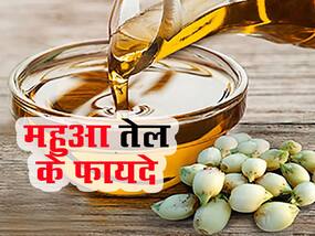 सफेद होते बालों को काला करे महुआ के बीजों का तेल, इन परेशानियों से भी दिलाता है छुटकारा