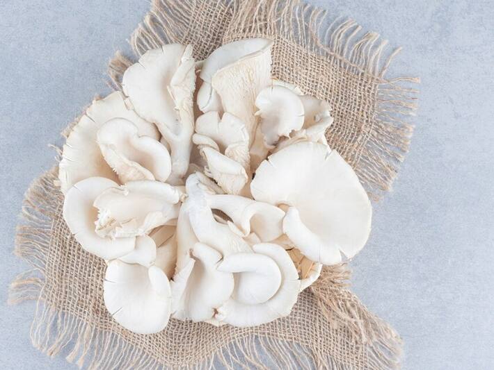 Mushroom Benefits In Pregnancy In Hindi प्रेगनेंट लेडी के लिए कौन सा