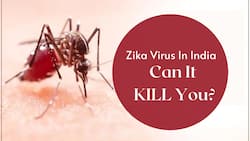 Zika Virus In India: 4 Unusual And Rare Conditions The Virus Infection Can Cause