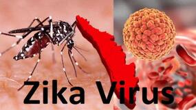 5-Year-Old Karnataka Girl Tests Positive For Zika Virus: Can This Infection Kill You?