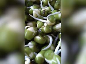 सुबह अंकुरित मूंग खाने के 10 जबरदस्त फायदे