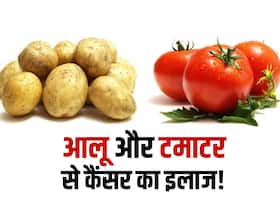 Cancer Treatment : आलू और टमाटर में पाए जाने वाले इस तत्व से हो सकता है कैंसर का इलाज! वैज्ञानिक ढूंढ रहे प्रभावी तरीका