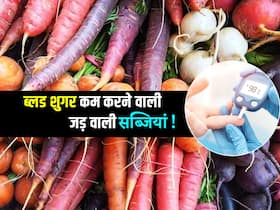 सर्दी में ये 4 जड़ वाली सब्जियां रखती हैं आपका Blood Sugar कंट्रोल! जानें डायबिटीज में खाई जाने वाली सब्जियां सर्दी में ये 4 जड़ वाली सब्जियां रखती हैं आपका Blood Sugar कंट्रोल! जानें डायबिटीज में खाई जाने वाली सब्जियां