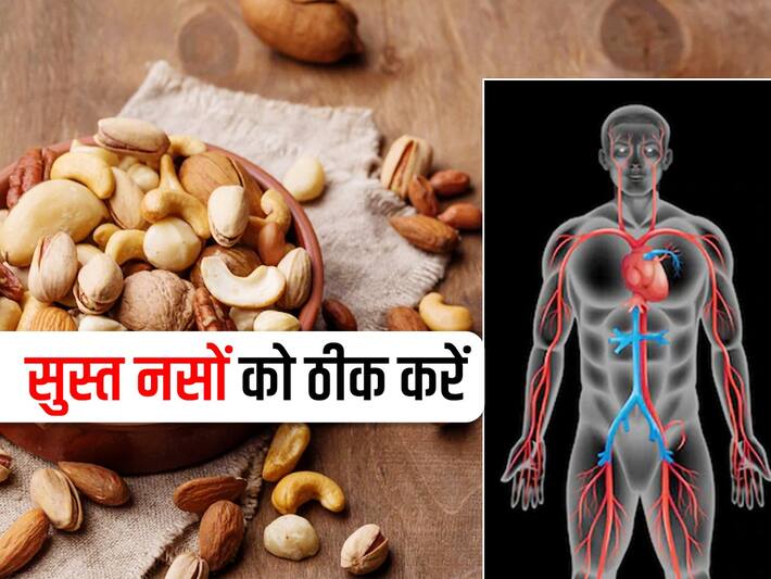 Dry Fruits Benefits For Veins In Hindi नसों के लिए ड्राई फ्रूट्स खाने के फायदे TheHealthSite
