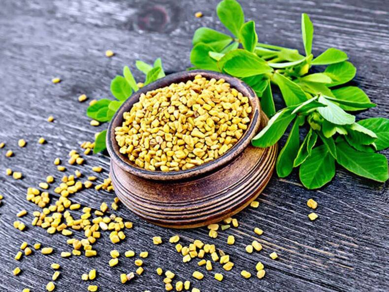Diabetes Diet: डायबिटीज पेशेंट सर्दियों में जरूर खाएं ये 5 सब्जियां, आसानी से कंट्रोल होगा शुगर