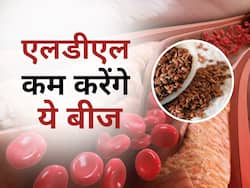 डाइट में इस खास बीज को खाएं कोलेस्ट्रॉल के मरीज, दवाओं के बिना ही रहेगा एलडीएल कंट्रोल