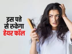 Hair Fall से परेशान महिलाएं इस खास पत्ते से बनाएं देसी नुस्खा, जानें घर-घर में लगे पौधे से कैसे रोके बाल झड़ना