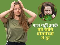 फलों से ज्यादा इनके पत्तों से मिलेगा फायदा, जानें 5 फलों पत्ते जो दूर करेंगे डायबिटीज और कोलेस्ट्रॉल जैसी बीमारियां