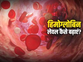 इन 5 फूड के सेवन से हफ्ते भर में बढ़ जाता है हिमोग्लोबिन लेवल, जानिए कौन सा फूड है ज्यादा फायदेमंद