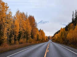 Planning To Drive On New Year   s? You Must Know About Highway Hypnosis