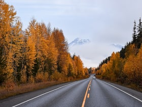 Planning To Drive On New Year   s? You Must Know About Highway Hypnosis