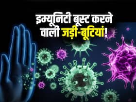 सुबह खाली पेट इन 5 चीजों को चबाने से सीजनल बीमारियां रहती हैं दूर, जानें इम्यूनिटी बूस्ट करने के आयुर्वेदिक टिप्स