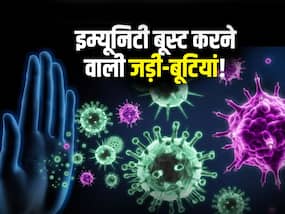 सुबह खाली पेट इन 5 चीजों को चबाने से सीजनल बीमारियां रहती हैं दूर, जानें इम्यूनिटी बूस्ट करने के आयुर्वेदिक टिप्स