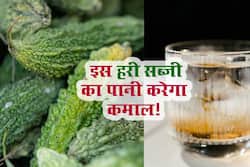 सुबह खाली पेट इस कड़वी सब्जी का पानी दूर करता है शरीर की 4 परेशानियां! जानें किस सब्जी से दूर होंगी बीमारियां