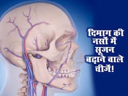 डाइट में इन 2 चीजों की वजह से लिवर और दिमाग की नसों में आती है सूजन! जानें किन चीजों को कम करने की जरूरत