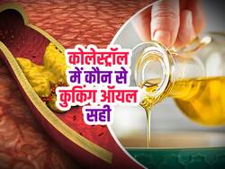 किचन में रखे ये तेल हेल्दी खाने को भी बना देते हैं कोलेस्ट्रॉल बढ़ाने वाली डाइट, जानें किन तेलों का सेवन करें और किनका नहीं