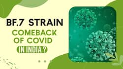 BF.7 Covid Subvariant: Omicron Variant Haunts Indian, Is This Comeback Of Covid !! Watch Video