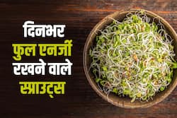 नाश्ते में खाएं ये 5 अंकुरित चीजें, दिनभर एनर्जी से फुल रहेगा शरीर और दूर रहेंगी डायबिटीज व कोलेस्ट्रॉल जैसी बीमारियां।