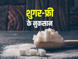 गाजर के हलवे में मिला रहे हैं शुगर-फ्री तो हो जाएं सावधान, ब्लड शुगर बढ़ने से लेकर ये 5 बीमारियां कर लेगी शरीर में घर