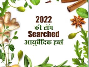 बीते साल ऑनलाइन सर्च किए गए आयुर्वेदिक नुस्खे, टॉप सर्च में रहीं ये 5 जड़ी-बूटियां