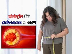 आपकी इस 1 गलती से नसों में जमा होने कोलेस्ट्रॉल और ट्राइग्लिसराइड, वजन कम करने वाले लोग ज्यादा करते हैं ये गलतियां