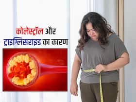 आपकी इस 1 गलती से नसों में जमा होने कोलेस्ट्रॉल और ट्राइग्लिसराइड, वजन कम करने वाले लोग ज्यादा करते हैं ये गलतियां आपकी इस 1 गलती से नसों में जमा होने कोलेस्ट्रॉल और ट्राइग्लिसराइड, वजन कम करने वाले लोग ज्यादा करते हैं ये गलतियां