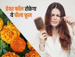 हेयर फॉल से हमेशा के लिए मिल सकता है छुटकारा, बस लगाएं इन पीले फूलों का हेयर मास्क