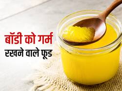 सर्दियों में बॉडी को गर्म रखते हैं देसी घी, तिल, बाजरा और ग्रीन टी; जानिए इन Winter Foods के फायदे