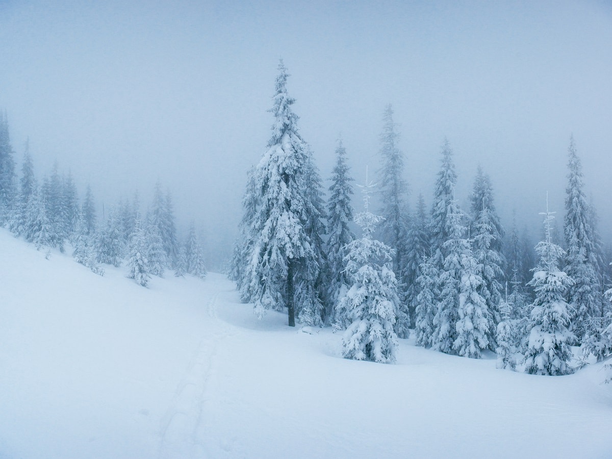 Bomb Cyclone Claims 59 Lives In US And Canada: 5 Ways Severe Cold Can Impact You