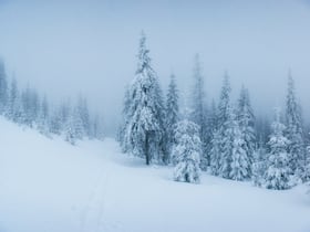 Bomb Cyclone Claims 59 Lives In US And Canada: 5 Ways Severe Cold Can Impact You Bomb Cyclone Claims 59 Lives In US And Canada: 5 Ways Severe Cold Can Impact You