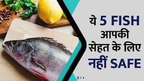 ये हैं वो 5 Fish जो आपकी सेहत को पहुंचा सकते हैं नुकसान, Watch Video