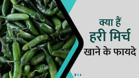 Green Chilli खाने के इस फायदे से आप हैं अंजान, Watch Video