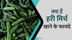 Green Chilli खाने के इस फायदे से आप हैं अंजान, Watch Video